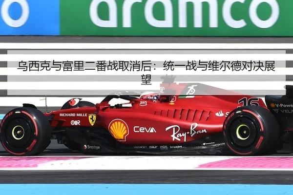乌西克与富里二番战取消后：统一战与维尔德对决展望
